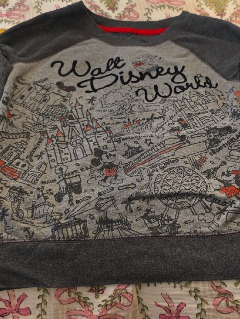 Disney Grey Sweatshirt with Red Neck Trim